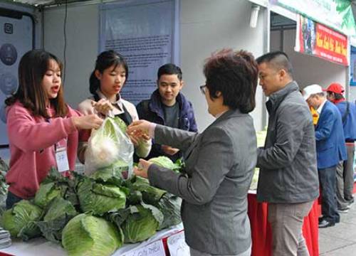 Mua thực phẩm sạch trên phố đi bộ Hà Nội: Vừa sạch lại xanh