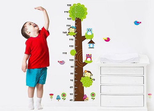 Người Việt Nam vẫn thấp hơn chuẩn thế giới từ 10-13 cm