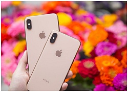 Samsung sẽ cung cấp màn OLED giá rẻ cho Apple dùng trong iPhone 2019