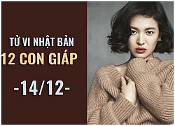 Tử vi Nhật Bản (14/12) của 12 con giáp: Tuổi Chuột (Tý) tránh giao dịch