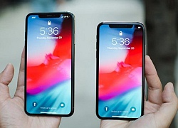 Apple bị kiện vì thổi phồng kích thước màn hình iPhone X và iPhone Xs