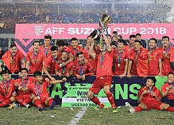 Báo chí quốc tế thán phục khi Việt Nam vô địch AFF Suzuki Cup