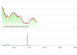 Chứng khoán sáng 17/12: Trụ rơi sâu, VN-Index mất hơn 1%