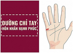 Đặc điểm bàn tay của người hôn nhân hạnh phúc, bạn có không?