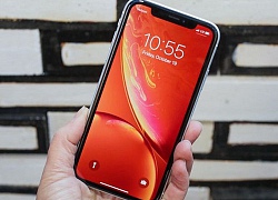 iPhone XR - phiên bản 'giá rẻ' của Apple đáng lựa chọn năm 2018!