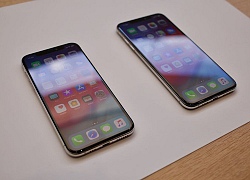 iPhone Xs và iPhone Xs Max thê thảm cỡ nào trong dịp mua sắm vừa qua?