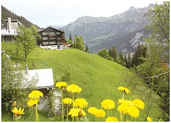 Lauterbrunnen - nơi tập trung những thác nước kỳ vĩ của Châu Âu