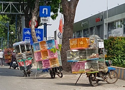 Lấy gà giả công, lừa người mua