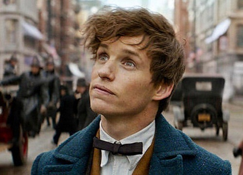 Newt Scamander và Eddie Redmayne Cả hai có thực sự nhạt nhòa trong Sinh Vật Huyền Bí 2?