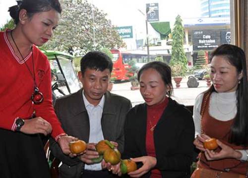 Tập trung trí tuệ để phát triển tam nông