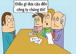 Tối cười: Giám đốc &#8220;chết lặng&#8221; trước động lực làm việc của nhân viên