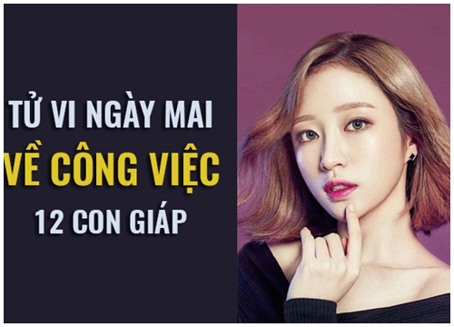 Tử vi ngày mai (17/12) về công việc của 12 con giáp: Tuổi Mùi chăm chỉ