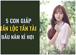 5 con giáp tấn lộc tấn tài đầu năm Kỉ Hợi