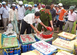 Chiến dịch kiểm tra an toàn thực phẩm bước vào cao điểm