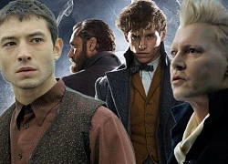 'Fantastic Beasts 2': Credence rất có thể là con trai của Albus Dumbledore?