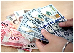 Giá USD tăng đều đều