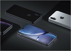 iPhone XI và XI Plus đẹp hoàn hảo, fan 'Táo khuyết' đứng ngồi không yên