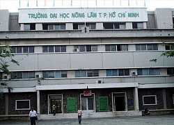 Nhiều đại học ở TP HCM công bố phương án tuyển sinh 2019