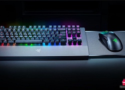 Razer hé lộ teaser đầu tiên về bộ gaming gear dành cho Xbox One