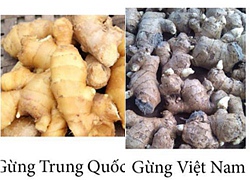 14 mẹo hay giúp phân biệt thực phẩm Trung Quốc và thực phẩm Việt Nam