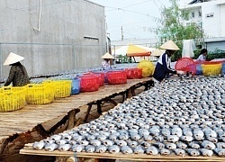 An Giang: Tất bật làm khô rắn, khô sặc rằn, khô lóc đồng bán Tết