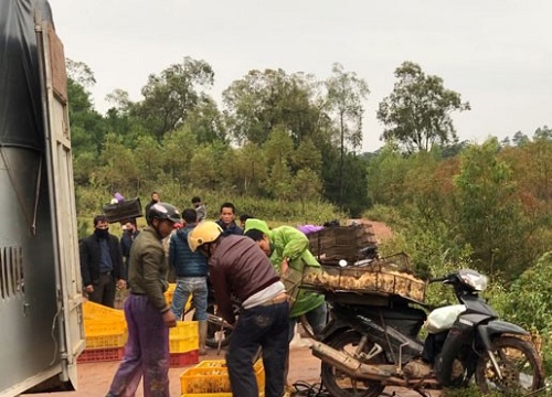 Bộ trưởng Bộ Nông nghiệp cảnh báo nguy cơ cao xâm nhiễm các dịch bệnh nguy hiểm dịp Tết