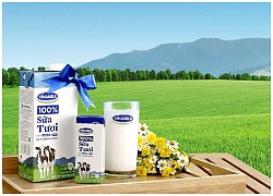 F&N Dairy 'nhẫn nại' đăng ký mua 17,4 triệu cổ phiếu Vinamilk