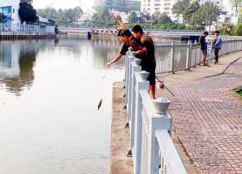 Giữa phố buông cần, bất chấp biển cấm