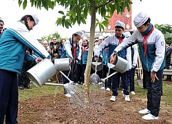 Hà Nội: Thống nhất đề xuất phát động "Tết trồng cây đời đời nhớ ơn Bác Hồ" dịp Xuân Kỷ Hợi