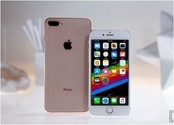 Nên mua iPhone 8 Plus hay iPhone XR khi chênh hơn 2 triệu đồng?