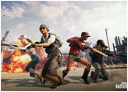 Trở lại mạnh mẽ, PUBG tái lập cột mốc 1 triệu CCU