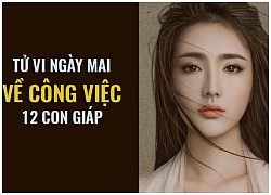 Tử vi ngày mai (23/12) về công việc của 12 con giáp: Tuổi Hợi stress