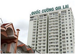 Vì sao Quốc Cường Gia Lai công bố không đầy đủ 14 giao dịch 3.200 tỷ?