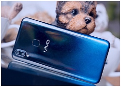 Vivo Y91 hứa hẹn sẽ gây sốt trong thời gian tới vì những lý do này