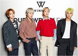 Winner: Hành trình gian nan từ 'con ghẻ' YG thành nhóm nổi tiếng Kpop