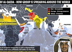 Cảnh báo rợn người về sự trỗi dậy và âm mưu mới của al-Qaeda