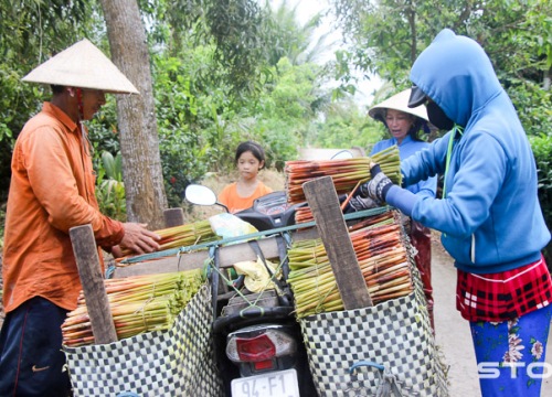 Cỏ năn-sản vật dân dã miền sông nước, gột áo phèn bước ra phố