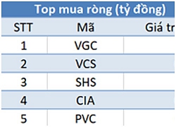 Khối ngoại bán ròng 800 tỷ đồng, Vn-Index thủng mốc 910 điểm trong phiên 24/12