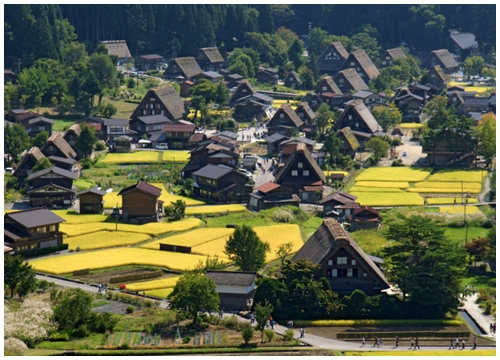 Làng lịch sử Shirakawa-go và Gokayama