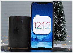 Nhiều iPhone mất kết nối dữ liệu di động khi lên iOS 12.1.2