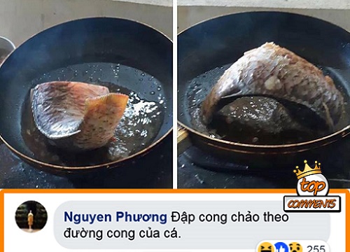 Những bình luận "truất" nhất trên mạng xã hội ngày hôm nay