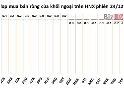 Phiên 24/12: Loại đi đột biến VCG, khối ngoại mua ròng hơn 100 tỷ đồng