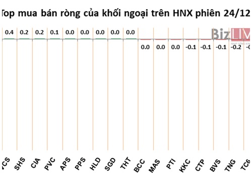 Phiên 24/12: Loại đi đột biến VCG, khối ngoại mua ròng hơn 100 tỷ đồng