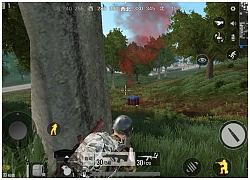 PUBG Mobile bản Timi có nguy cơ trở thành "dead game"