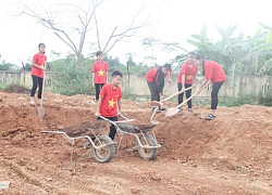 Thầy, trò trồng chuối giúp dân xóa nghèo