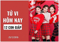 Tử vi hôm nay (25/12/2018) của 12 con giáp: Tuổi Thìn đề phòng tiểu nhân