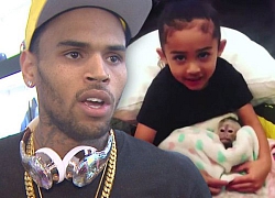 Chris Brown sắp phải hầu tòa vì nuôi khỉ ở nhà riêng