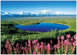 Khám phá thiên nhiên Alaska