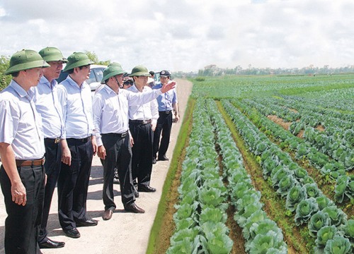 Nam Định: Xây dựng nông thôn mới có điểm khởi đầu, không có kết thúc