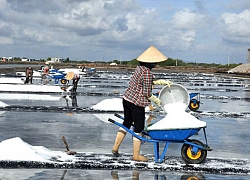 Nỗ lực giữ nghề muối Long Điền có từ thời khai phá đất phương Nam